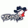 Idaho Falls Bandits